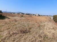 徳島県の市街化調整区域の畑の真ん中にある土地を売却したい！（徳島県阿南市） 状況