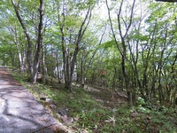 昔父が購入した那須の別荘地内の土地を処分したい！（栃木県那須塩原市） 状況