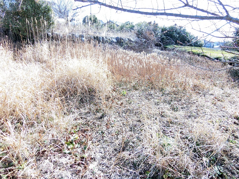 耕作放棄地　処分　リライト横浜