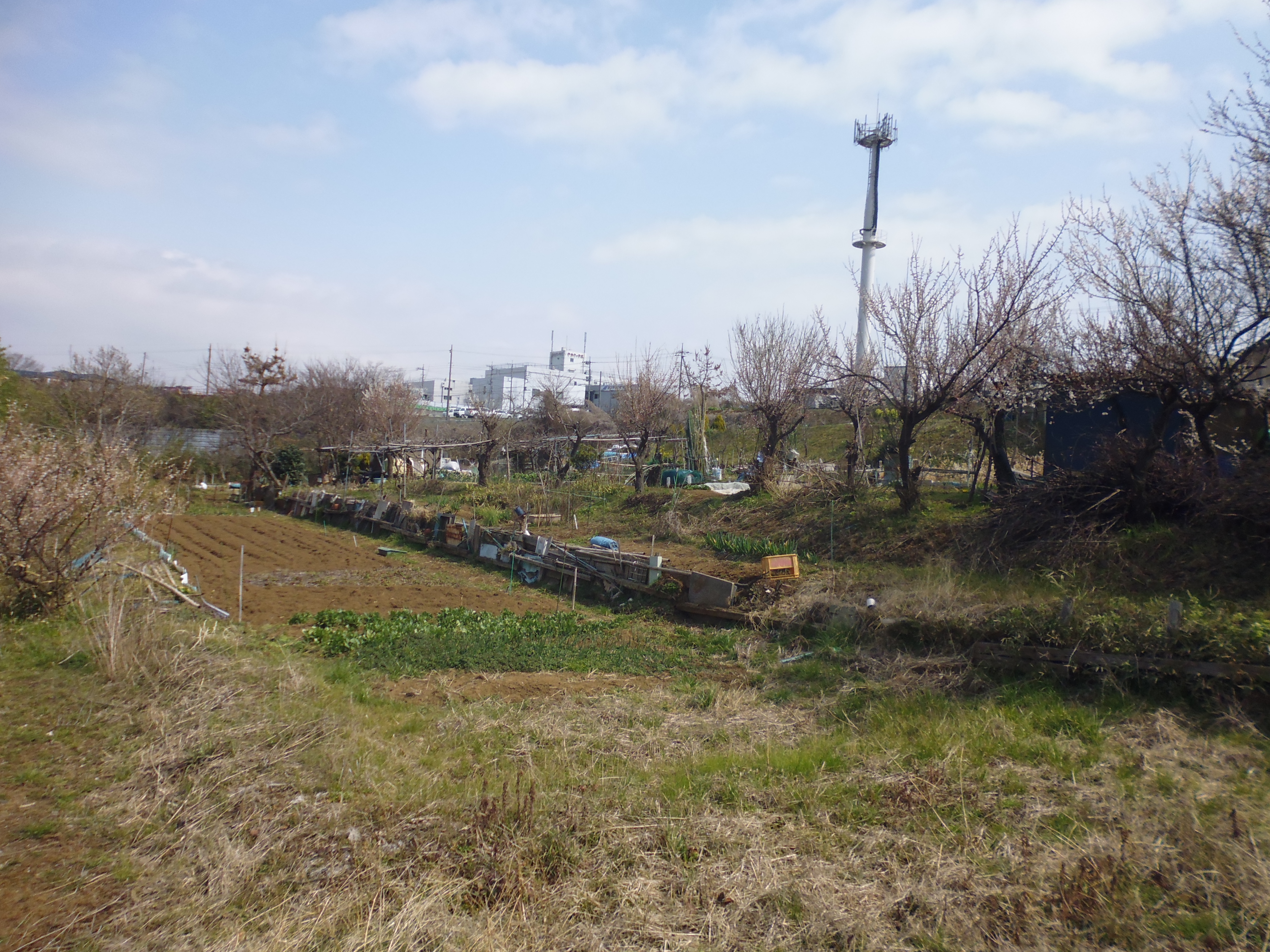 市街化調整区域の農地売却　リライト横浜