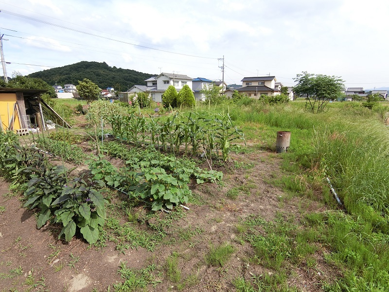 田舎の不動産売却　リライト不動産