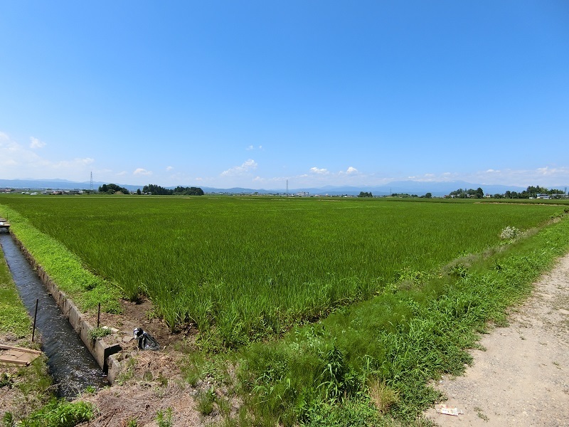 農地売却　不動産会社