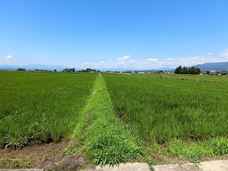 農用地　売却