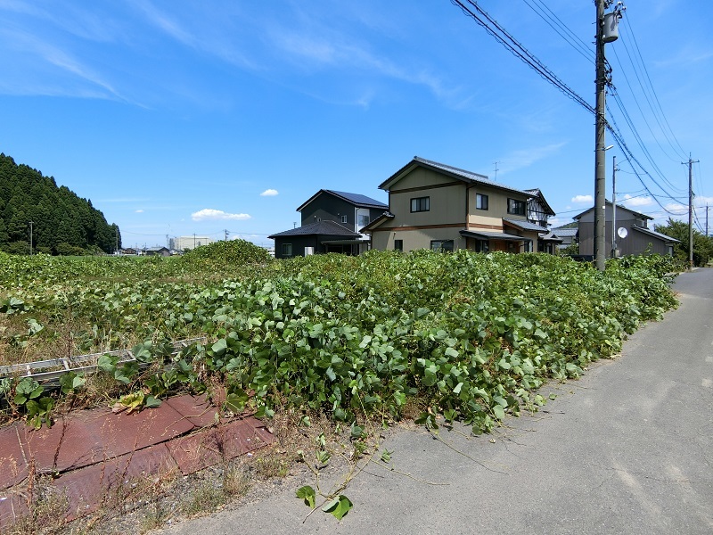 農地の売却　リライト横浜