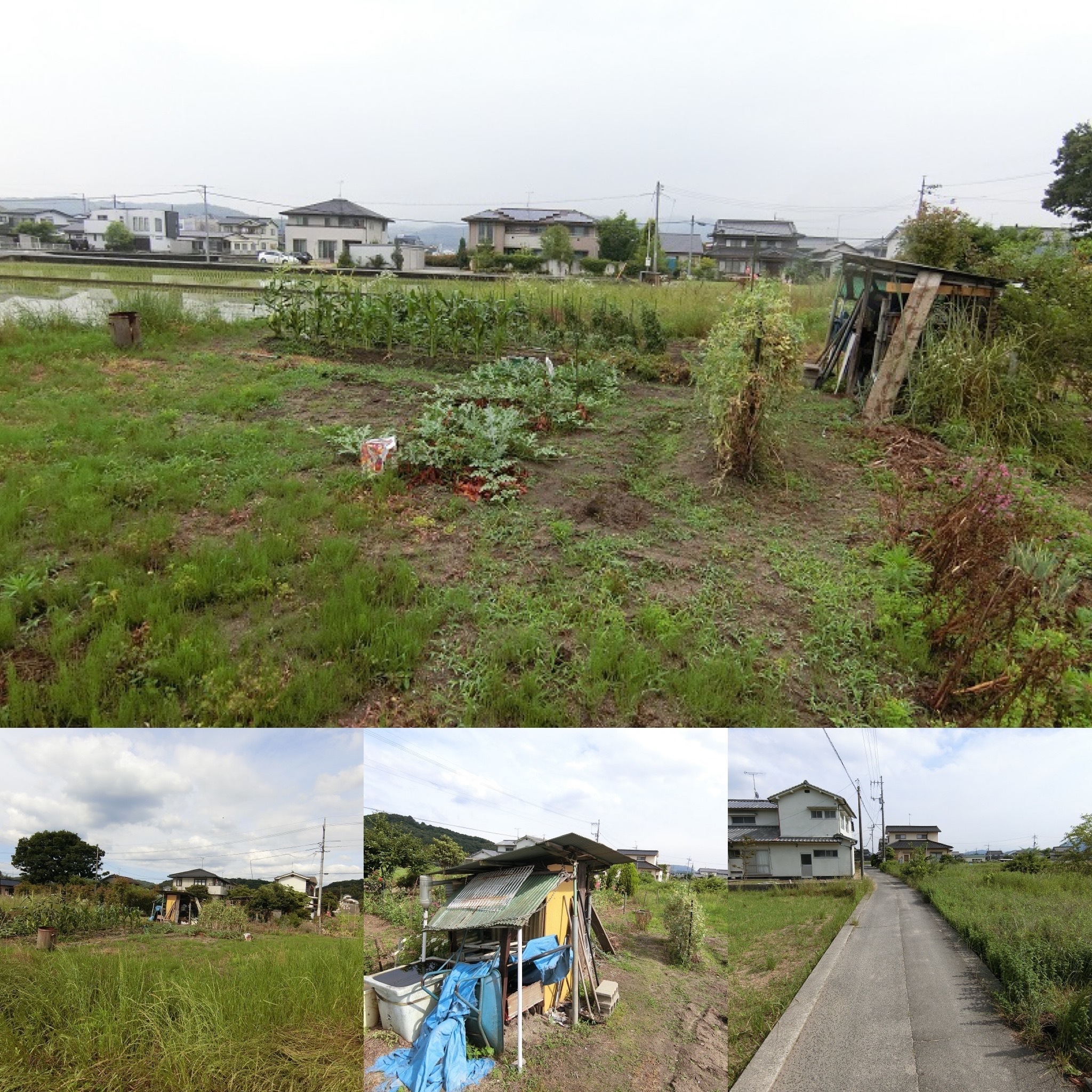 市街化調整区域土地　売却