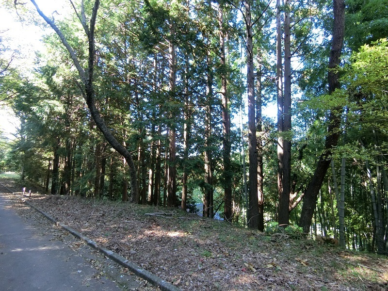 伊豆の国市　別荘地