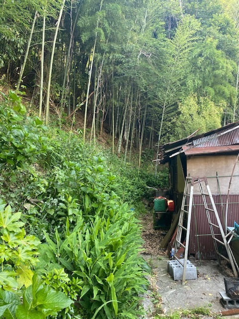 区域 警戒 横浜 市 土砂 災害