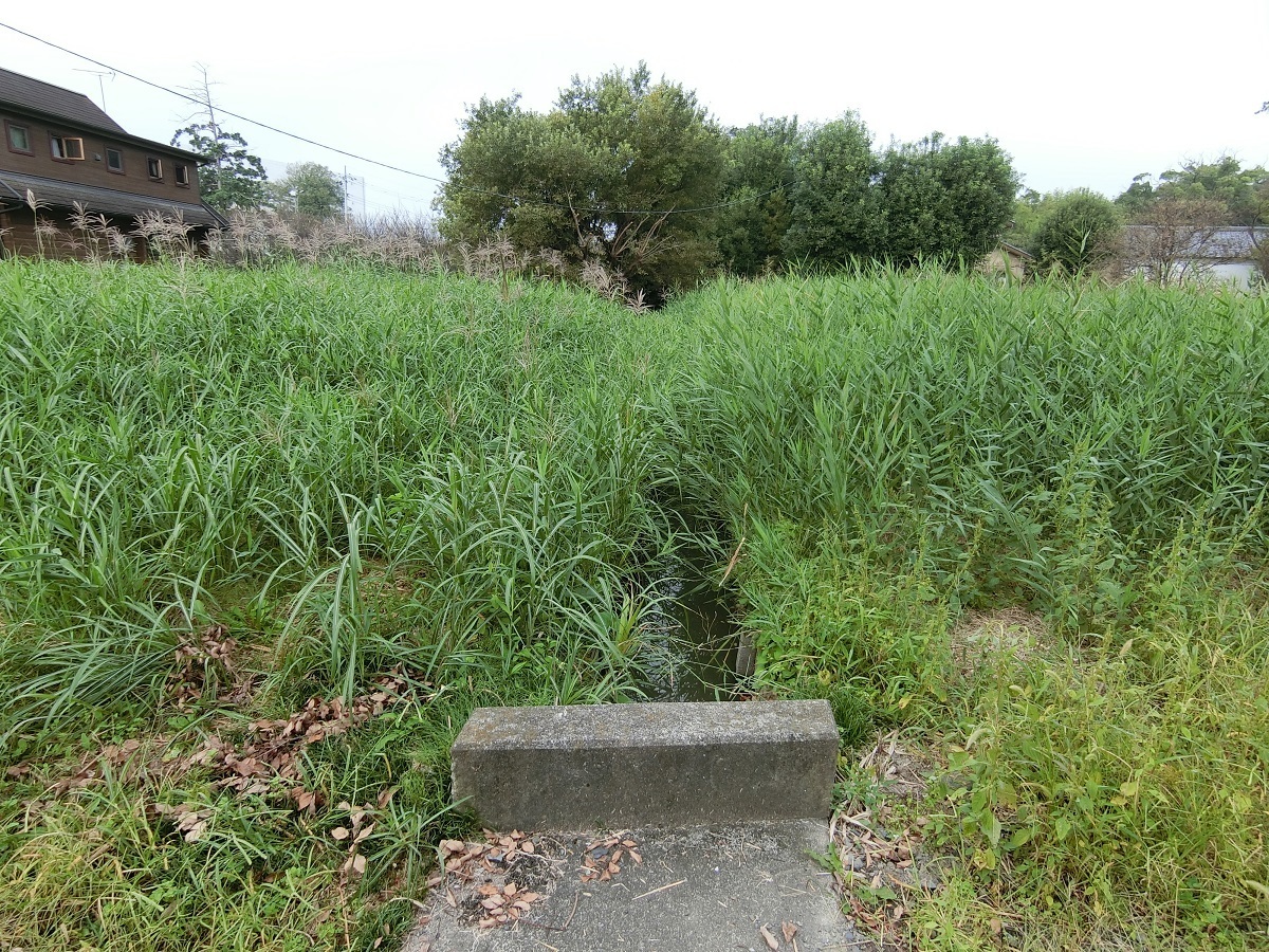 管理されていない土地売却時の注意点