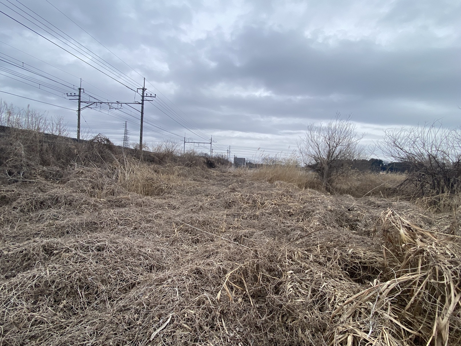 相続した農地　手放したい