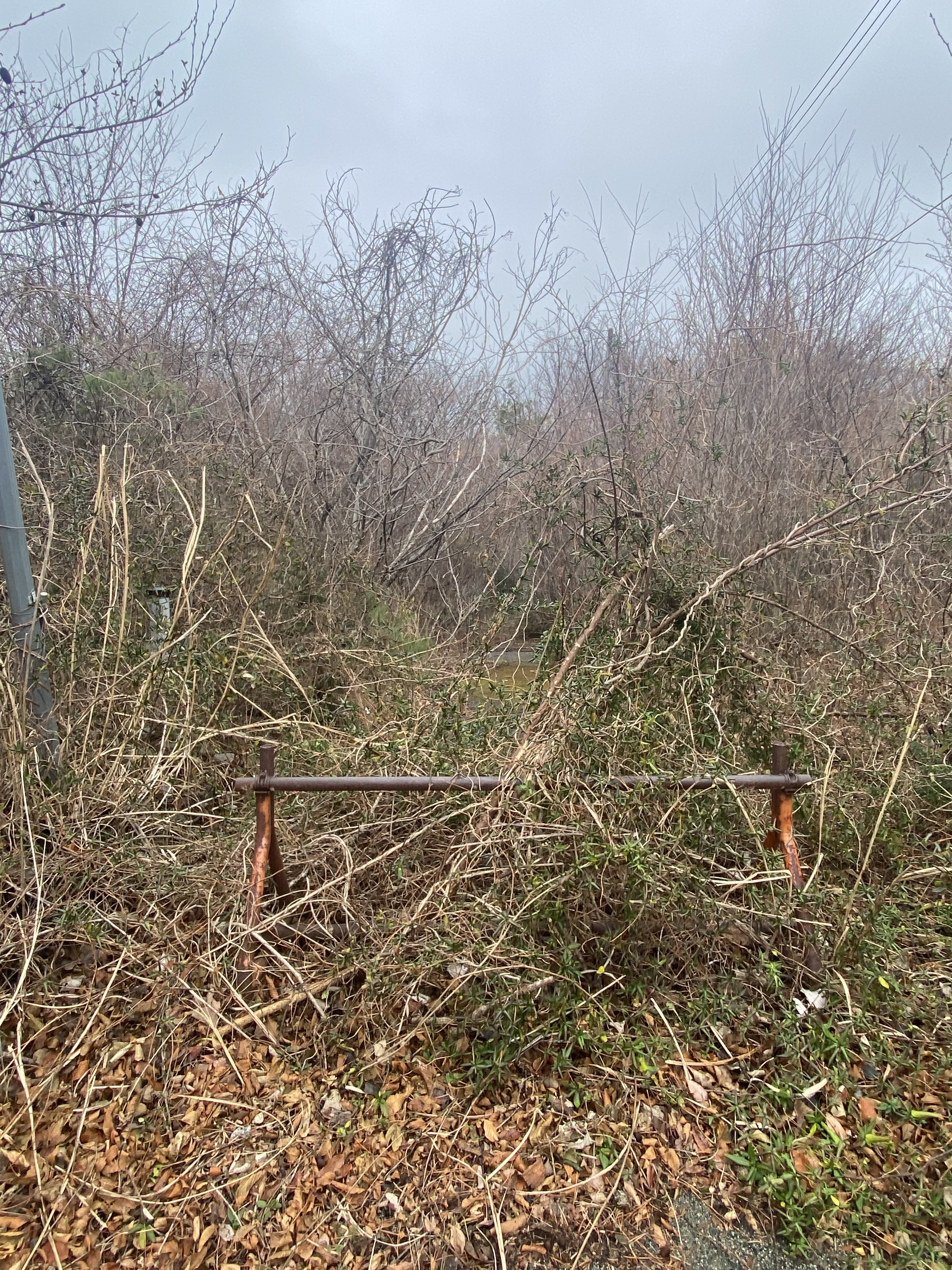 車止め　山林