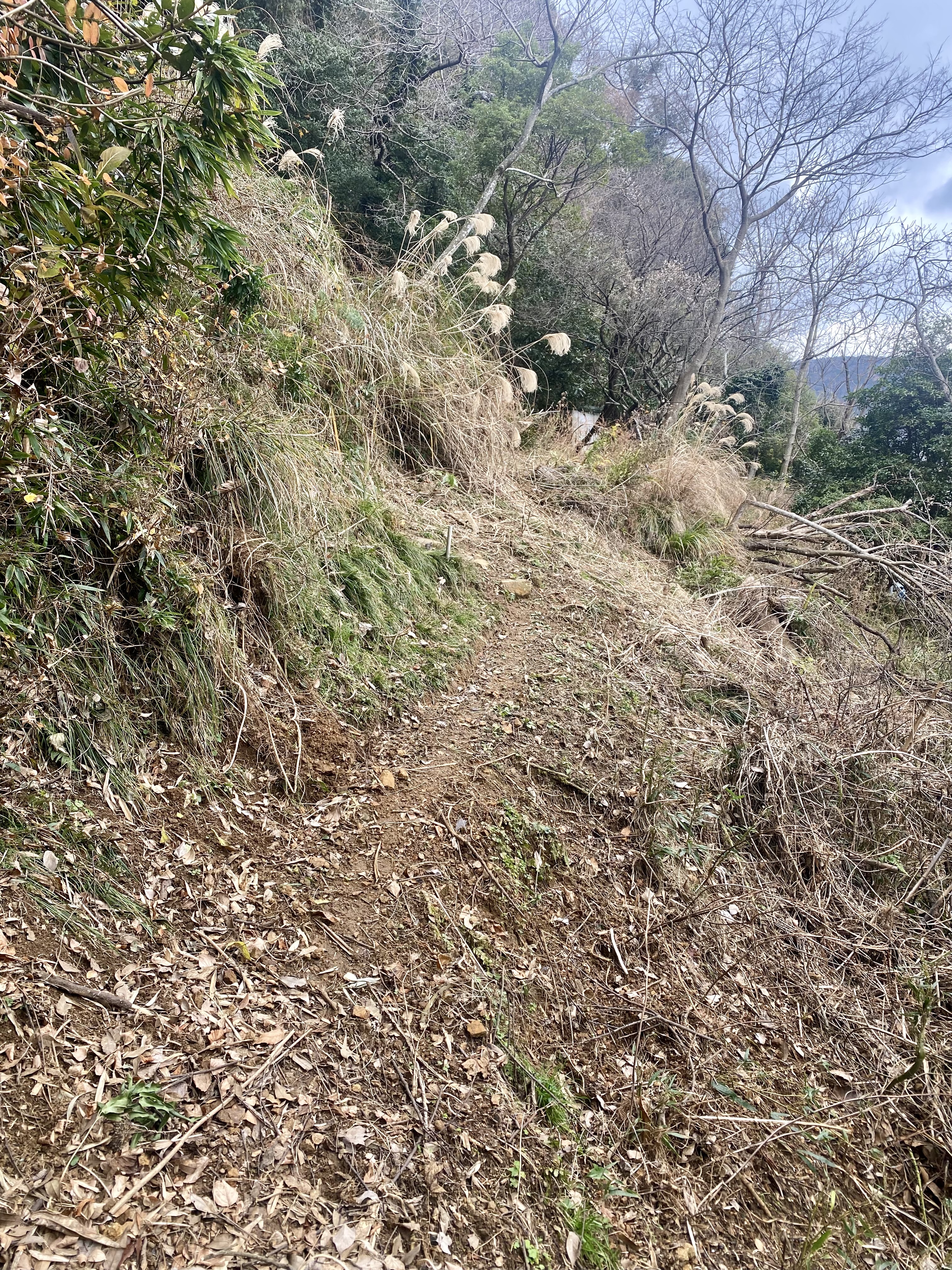 山間の空き家